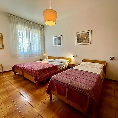 Near The With Swimming Pool 3*